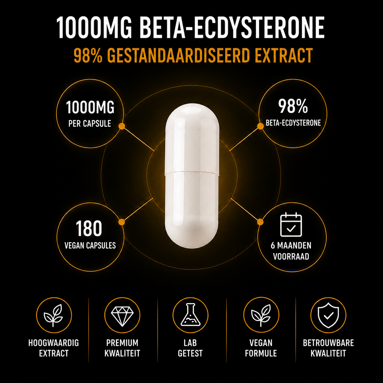 Ecdystebulk – Beta-Ecdysteron 98 % – Kapseln – BeBulk Nutrition