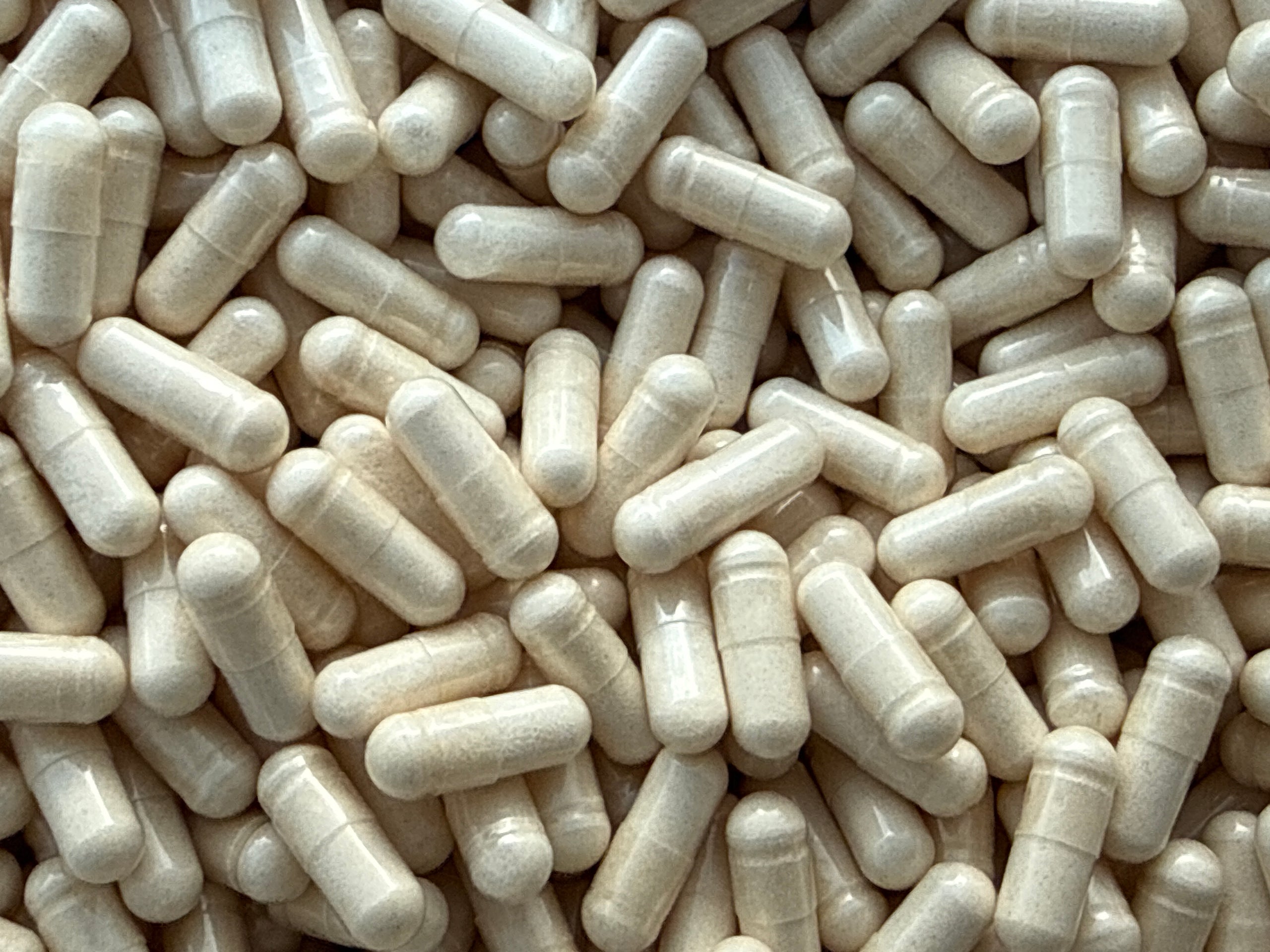 Ecdysteron 98 % – Kapseln in großen Mengen – BulkLab Nutrition