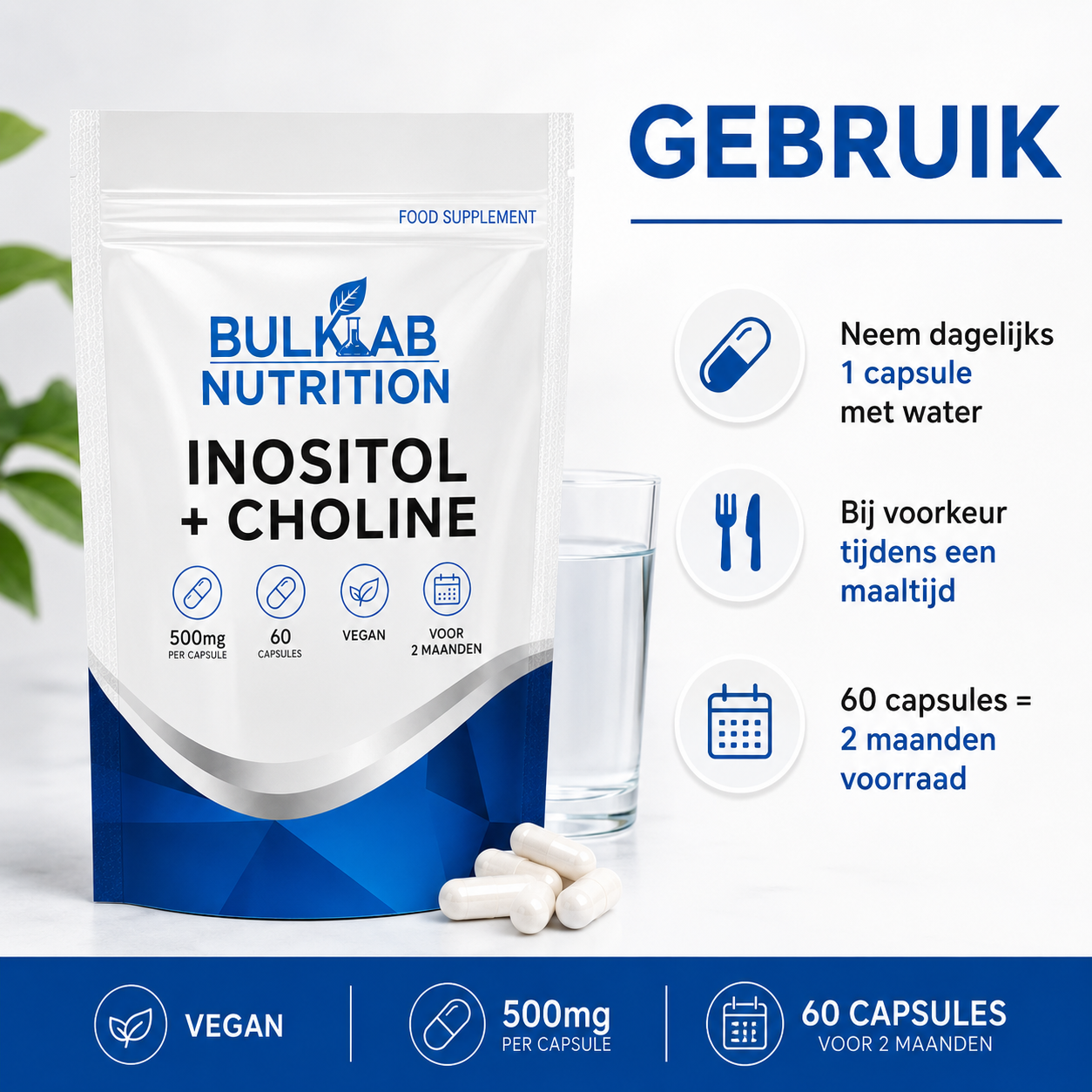 Inositol + Cholin – Kapseln – BulkLab Nutrition