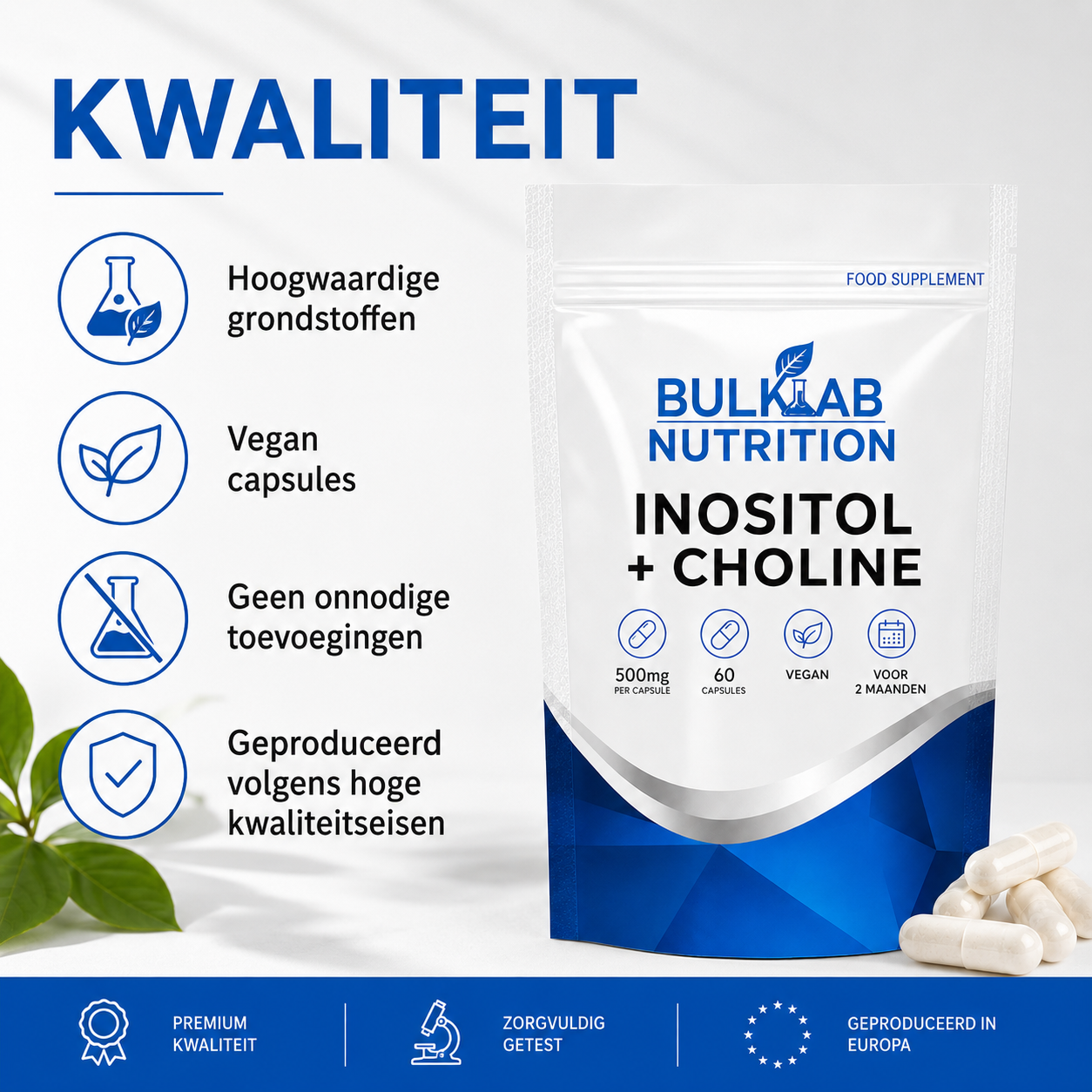 Inositol + Cholin – Kapseln – BulkLab Nutrition