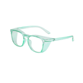 Sicherheitsbrille (Anti-Staub & Nebel)