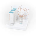 Schaumreiniger-Display (50 ml)